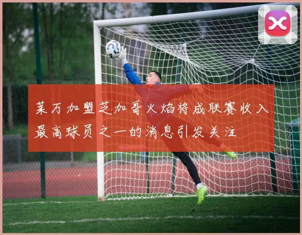 莱万加盟芝加哥火焰将成联赛收入最高球员之一的消息引发关注