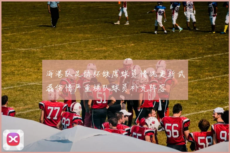 海港队足协杯缺席球员情况更新武磊伤情严重梯队球员补充阵容