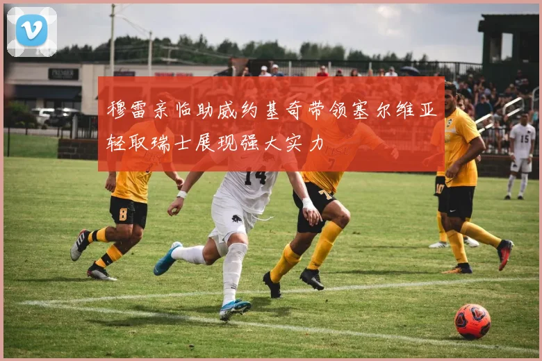 穆雷亲临助威约基奇带领塞尔维亚轻取瑞士展现强大实力
